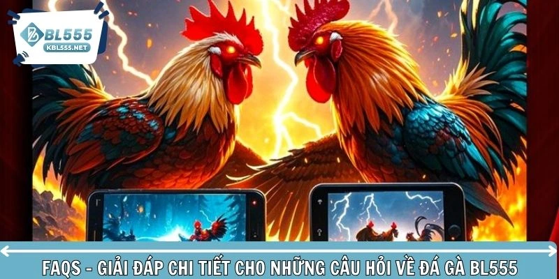 Làm rõ các câu hỏi cho hội viên liên quan đến gà chiến