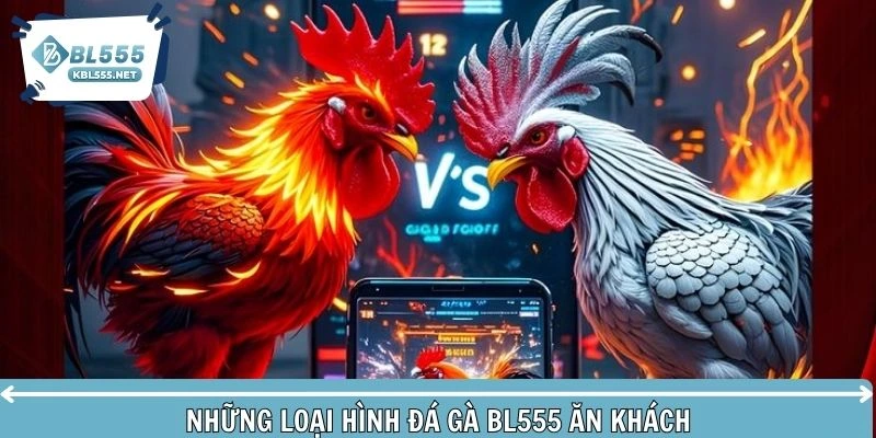 Phân biệt các loại hình gà chọi kịch tính tại hệ thống uy tín